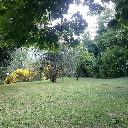 Paradiso *