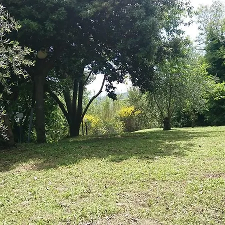 Paradiso Летний дом